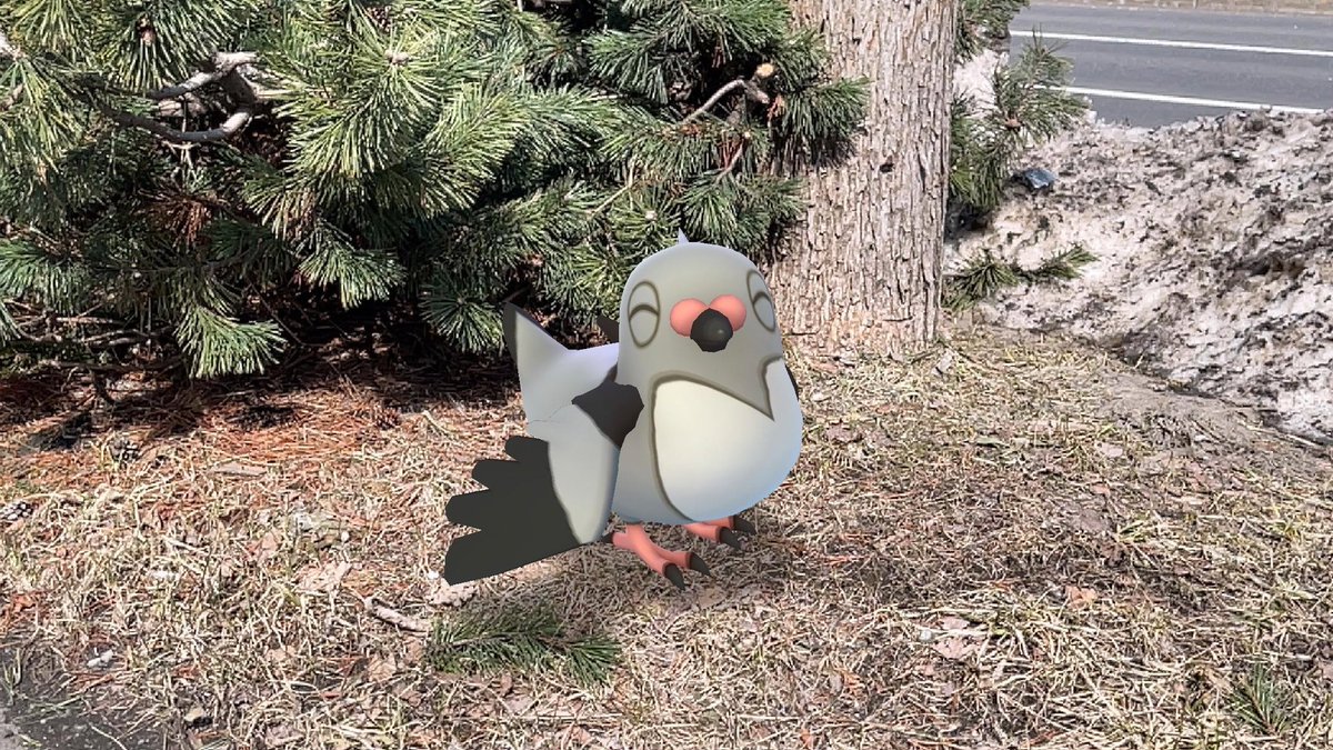 ci_ronnu_p's tweet image. トレ「なんかマメパトさんたくさん
           出るって聞いてたんですけど…？」

パト「そりゃあ、レア枠だもん。
           出ないよ。」
トレ「え？」

パト「ん？文句ある？」
#ポケモンGO #PokemonGO #ARPlus #PokemonGOAR #GOsnapshot #マメパト #パトパイセン #ウェザーウィークとは