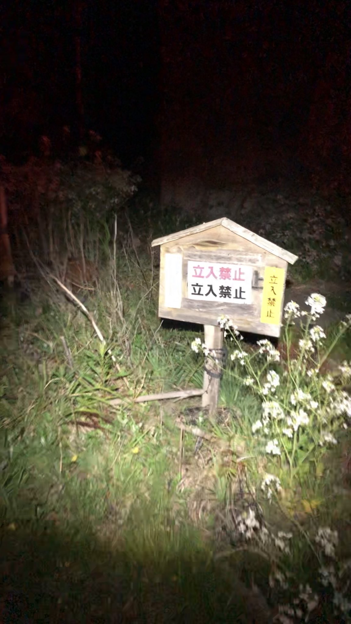 Necoze 愛媛県 愛南町 釣り人 猿越 昨日の夜 愛媛県愛南町猿越漁港にて非常に悪質な釣り人によるトラブルが発生しました 私有地への不法侵入及び口頭注意無視で警察に通報され強制退去となりました Necoze 愛媛県 愛南町 釣り人 猿越 昨日の夜 愛媛県愛南町猿越漁港にて非常に悪質な釣り人によるトラブルが発生しました 私有地への不法侵入及び口頭注意無視で警察に通報され強制退去となりました