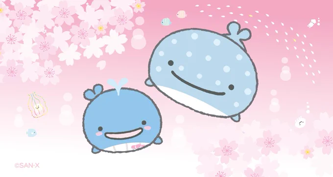 どこにいても、さくらさく‥🌸

#じんべえさん #桜の日 #さくらの日 