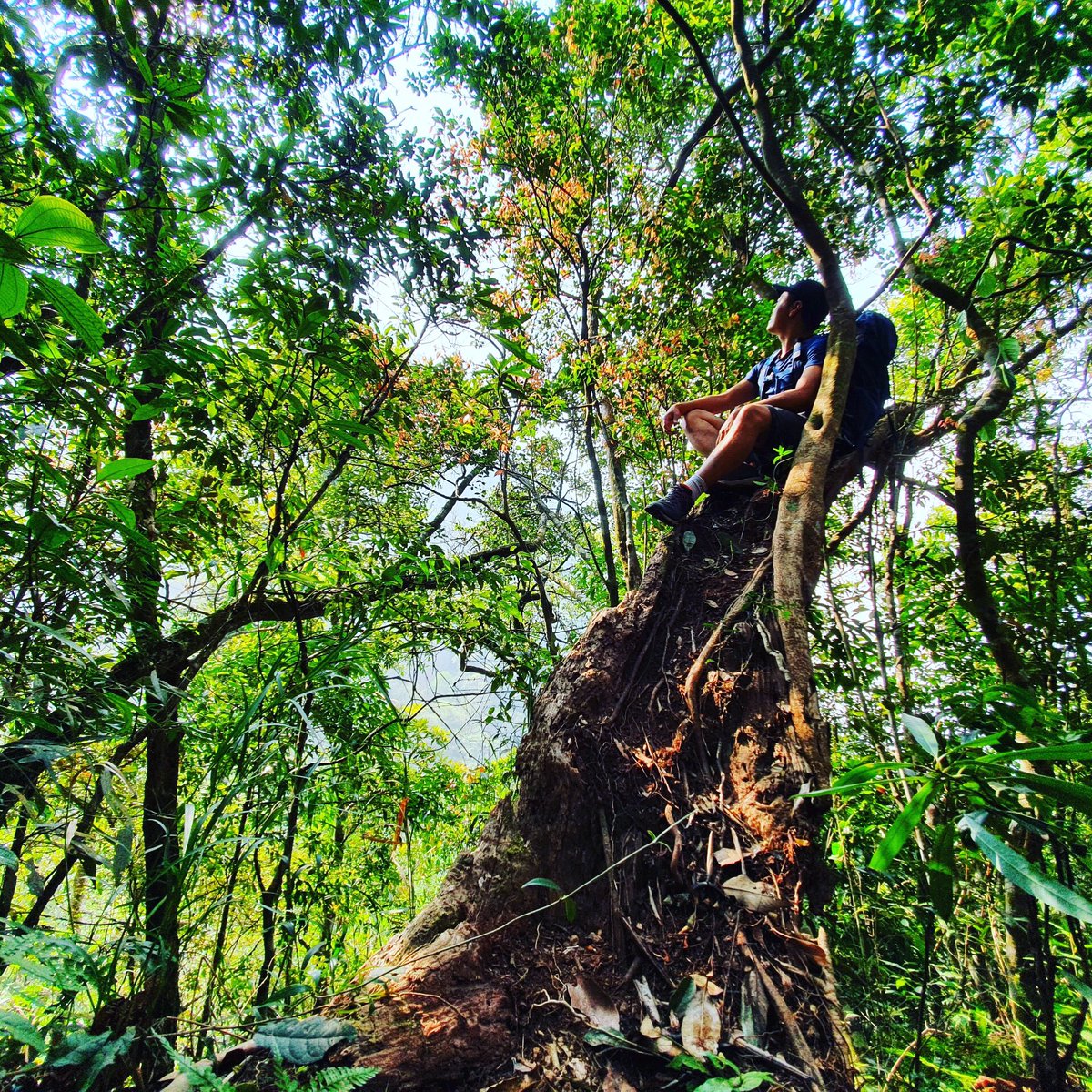 ManhCreative's tweet photo. be like a branch #trekking #trekkingvietnam #trekkinglovers #nature #naturephotography #photography #travel #travelphotography #mountains #mountainview #topmountain #hiking #hikingadventures #hikingphotography #landscape #landscapephotography #hikinglove #vietnam #vietnamtravel https://t.co/HcXr5qAZYQ