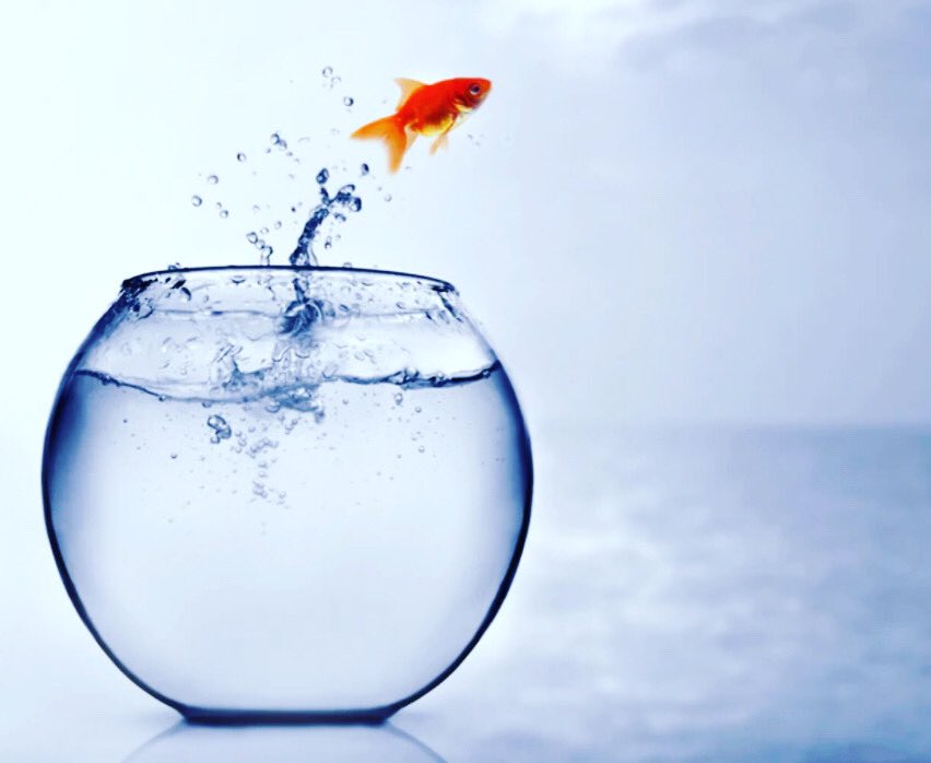 jimboh789's tweet photo. Don't let small minds convince you that your dreams are too big.
#1positivethought #1action #todayisagoodday #iPossible #blessing #youcandoit #keepsmiling #newbeginning #jumphigher #信行 https://t.co/C5iQm0Fptp