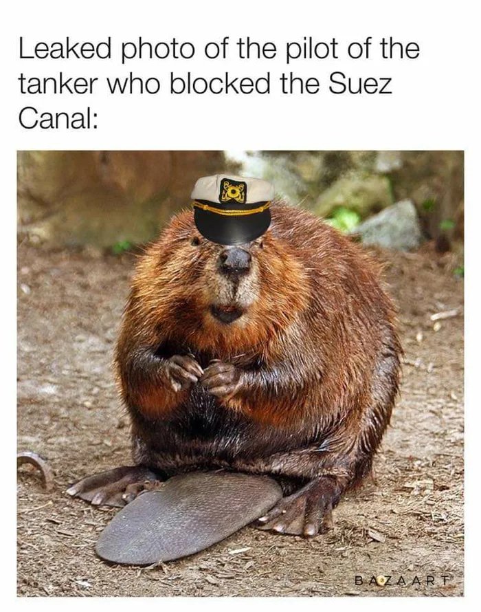 thatheadro's tweet photo. @c_boever hahahahahahaha 🤣🤣🤣 https://t.co/0qwoAEA8Ph