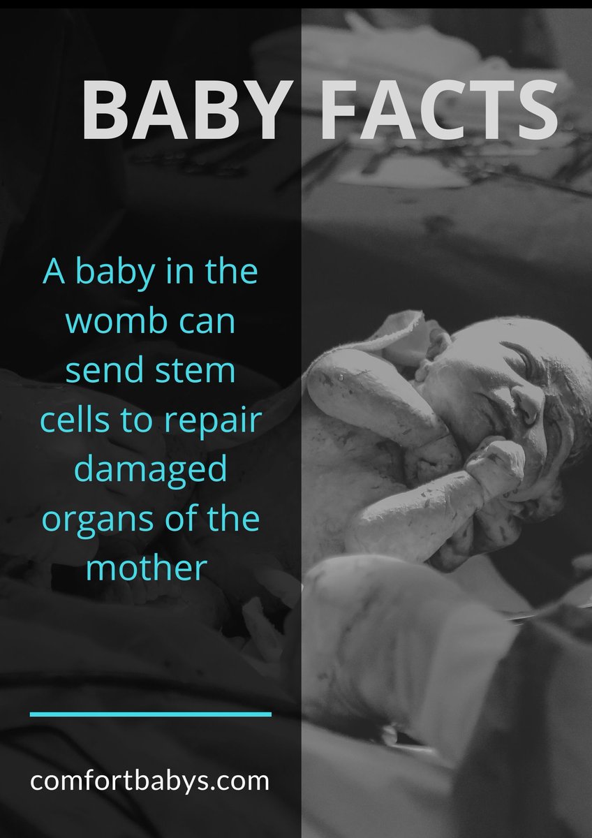 ComfortBabys's tweet photo. https://t.co/my4TgHtDVG
#babyquote #cutebabies #comfortbabys #babyboy #baby #babycarseat #kidsfashion #parenting #kids #babylove #dad #momlife #mom #MomChallenge #sleepingbaby #momlife #babyquote https://t.co/2QL18HbQIA