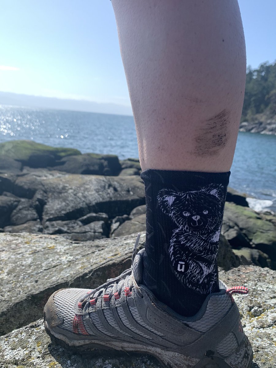 Actually_Fun's tweet photo. Out and about getting my @endurapparel #Paws4Aus socks a little dirty. These koalas also got to see a pod of transient orcas passing by! 🐨😎🐳☀️# https://t.co/T2mT8y8Pm2