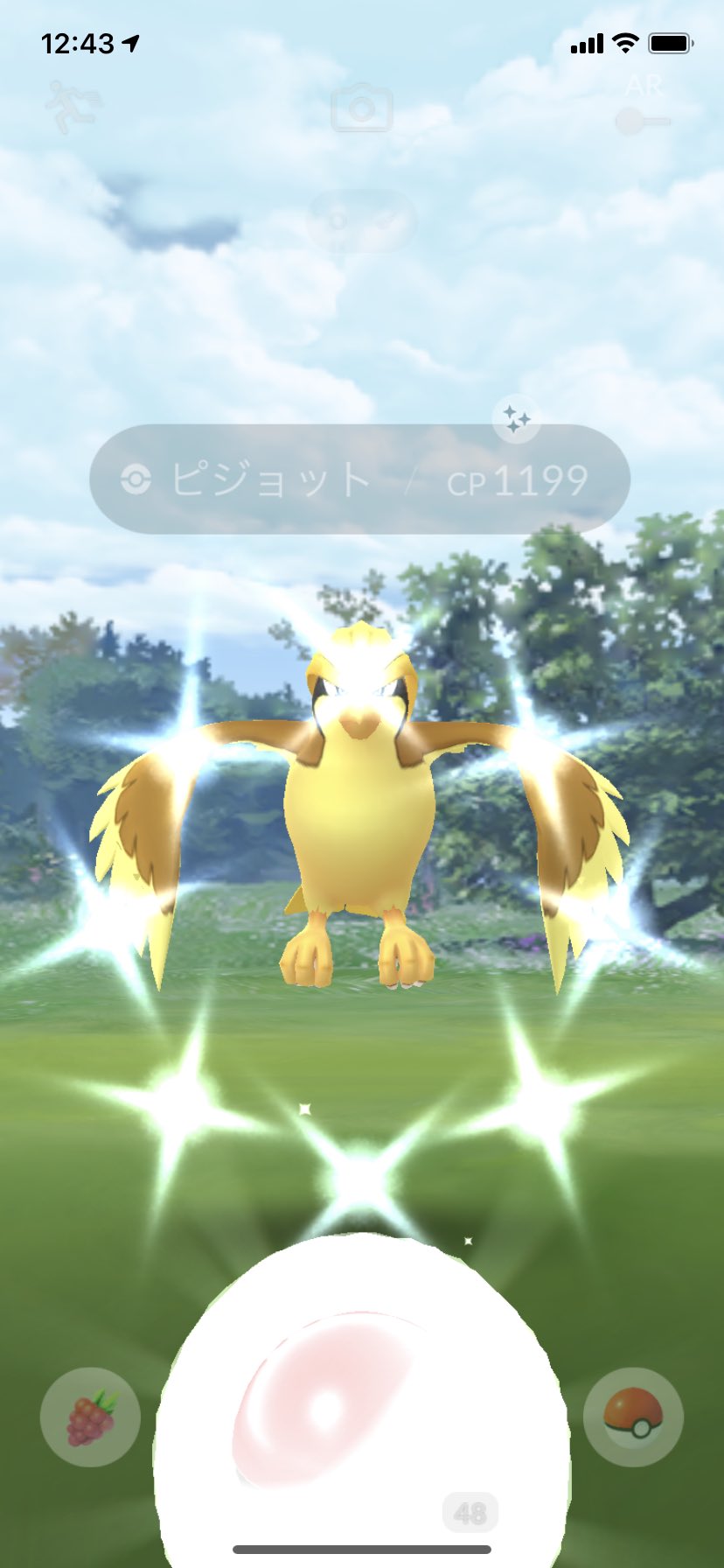 ころせんせ 進化系で初めて野生色違い出たw ポケモンgo ピジョット色違い T Co Ownecrjhuz Twitter