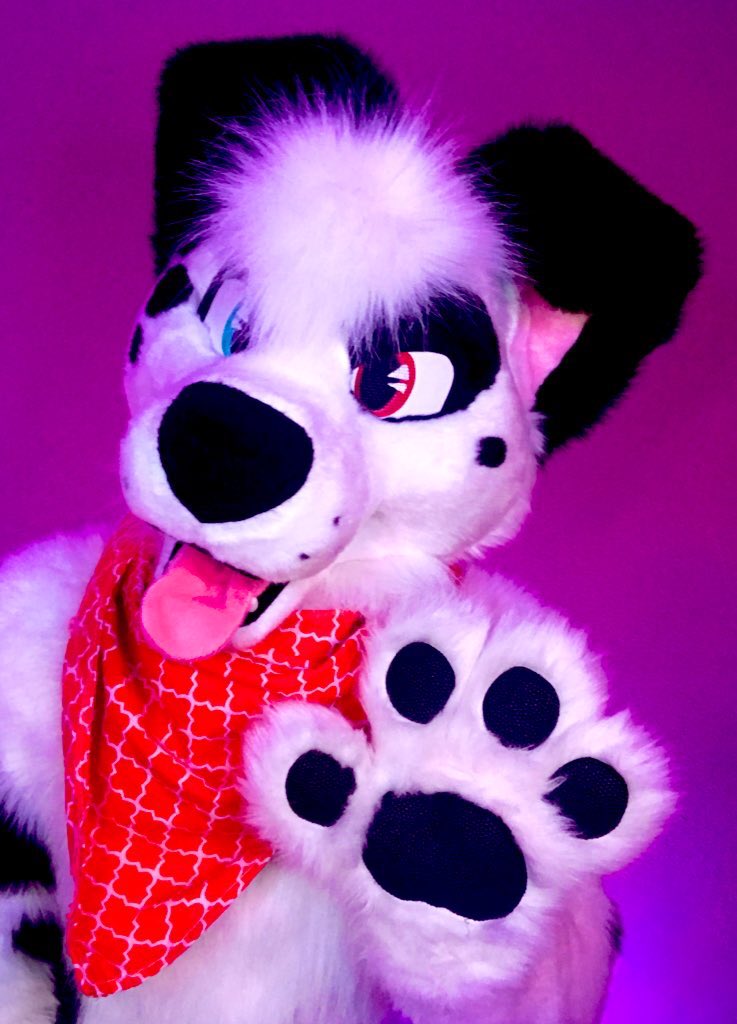 DalmatianPatch's tweet photo. Happy #FursuitFriday I don't have a fancy camera but I have these cool lights now! #furry #fursuit #fursuiter #furryfandom #furrys #furrys #doggo #puppr #uwu #cosplay https://t.co/Pq0WjkdzEy