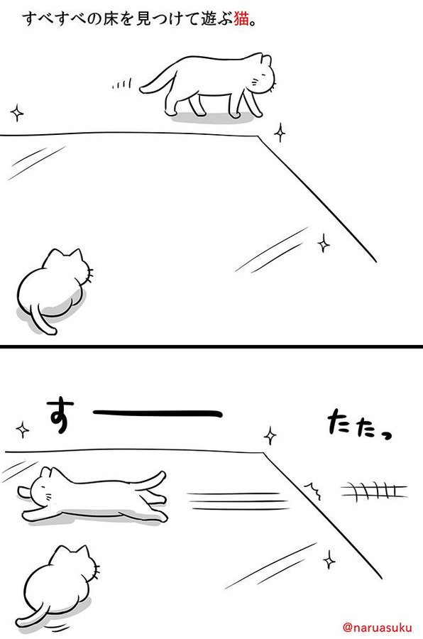 すべすべの床を見つけて遊ぶ猫。 