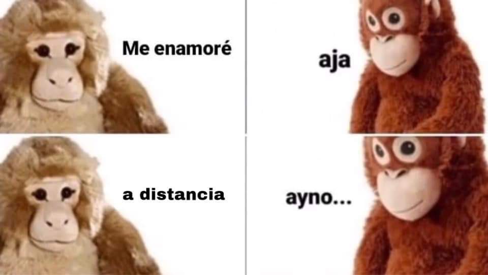 El Guarromántico tweet media