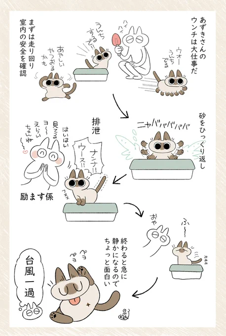 あずきさんハリケーンと呼称している? #シャム猫あずきさんは世界の中心 