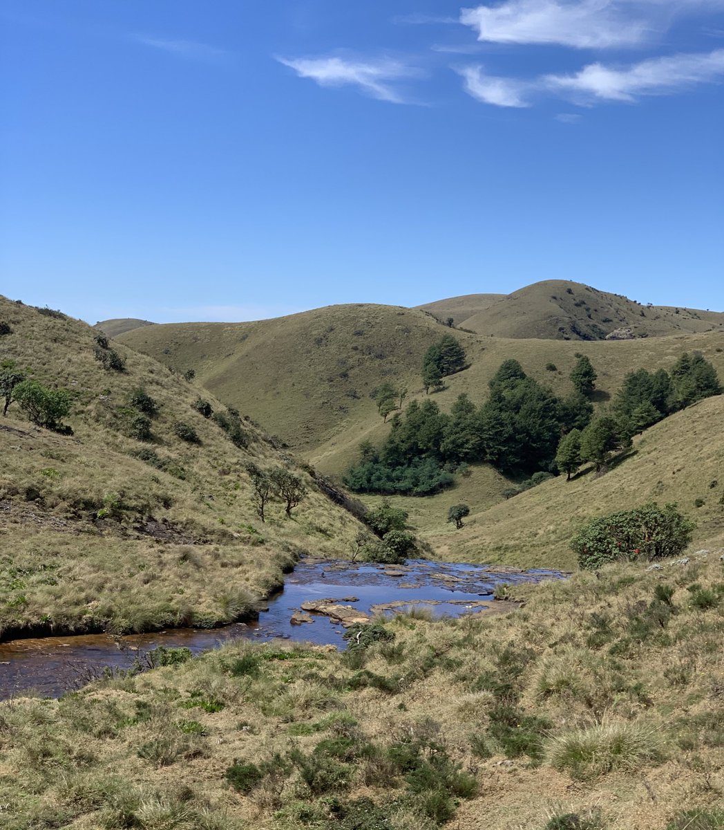 There are two types of people, those who live in Nilgiris and 
those who don’t 😝😎 #Nilgiris #grasslands #biospherereserve