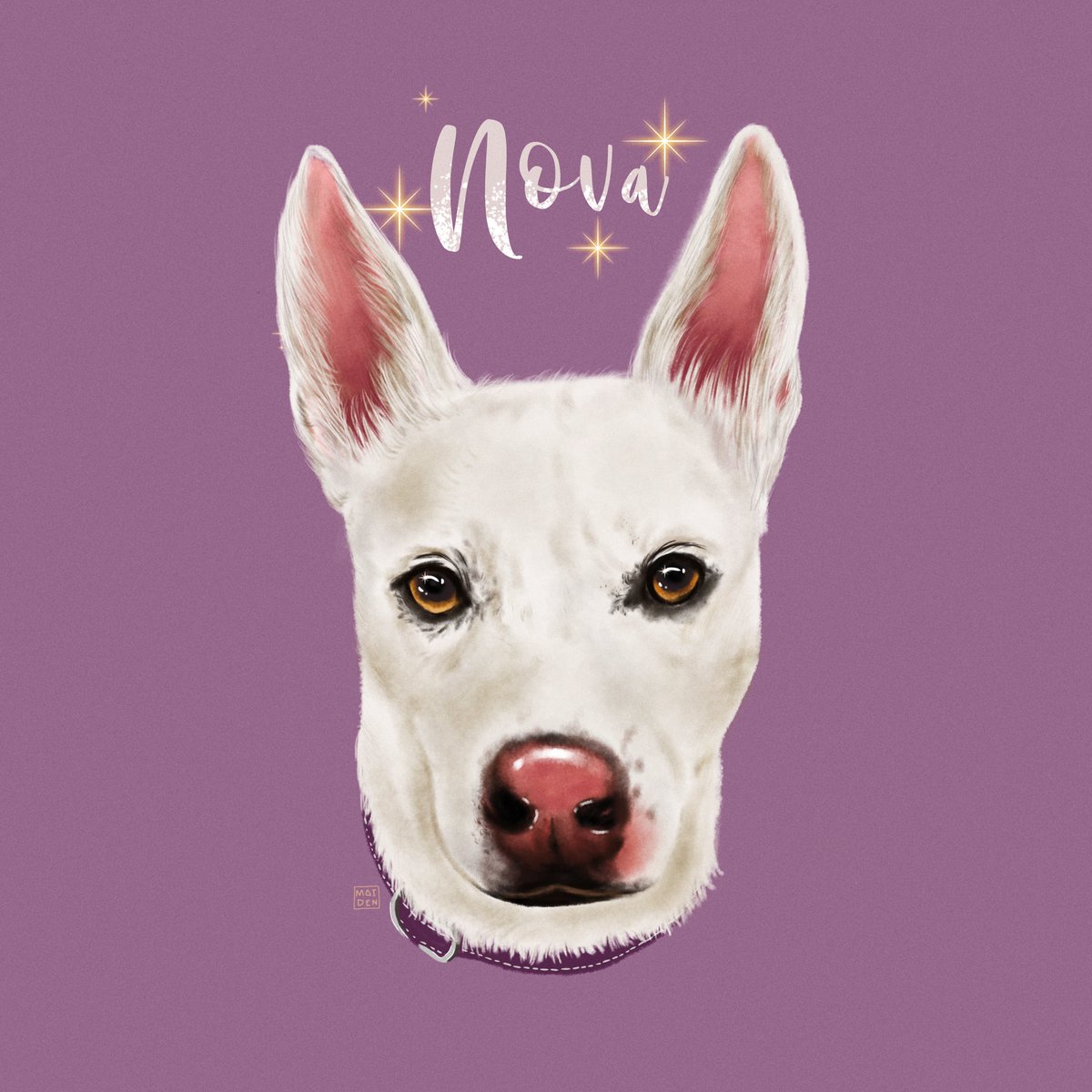 artbymaiden's tweet photo. a commissioned pet portrait for @/ssamatha_  🐶💕 

pet commissions are still open!
DM me 📩 
(i draw people too!) https://t.co/Cdnbj00N3I