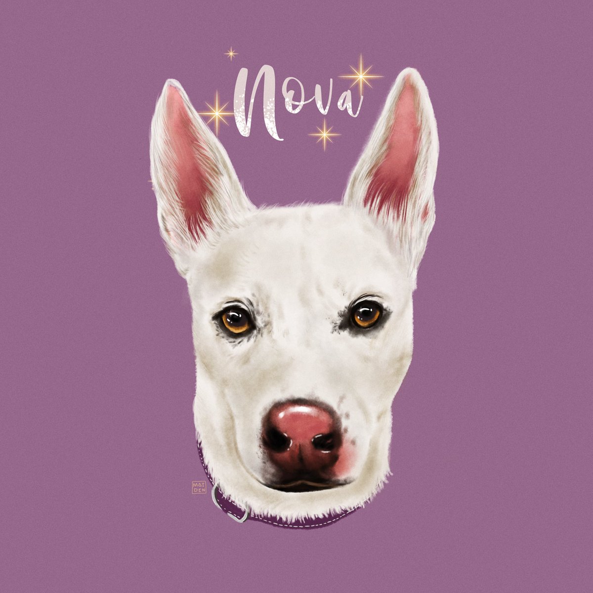 artbymaiden's tweet photo. a commissioned pet portrait for @/ssamatha_  🐶💕 

pet commissions are still open!
DM me 📩 
(i draw people too!) https://t.co/Cdnbj00N3I
