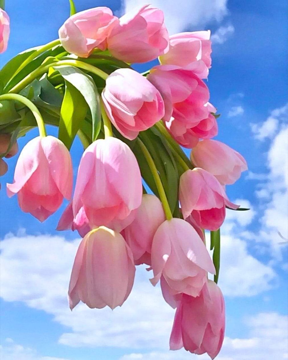 Ecaterina_02's tweet photo. Happy Weekend 😊😎🤗☺ https://t.co/btvMBfAPxT