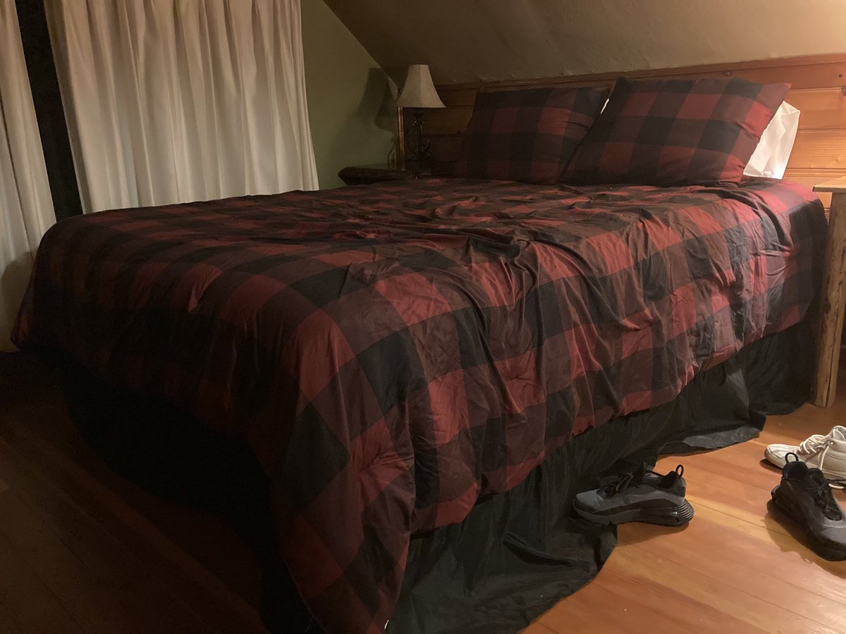 KyroLectro's tweet image. Vibing in big bear in my cabin