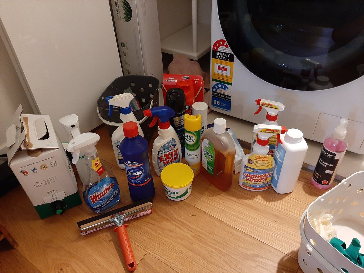 CalamarCat tweet media