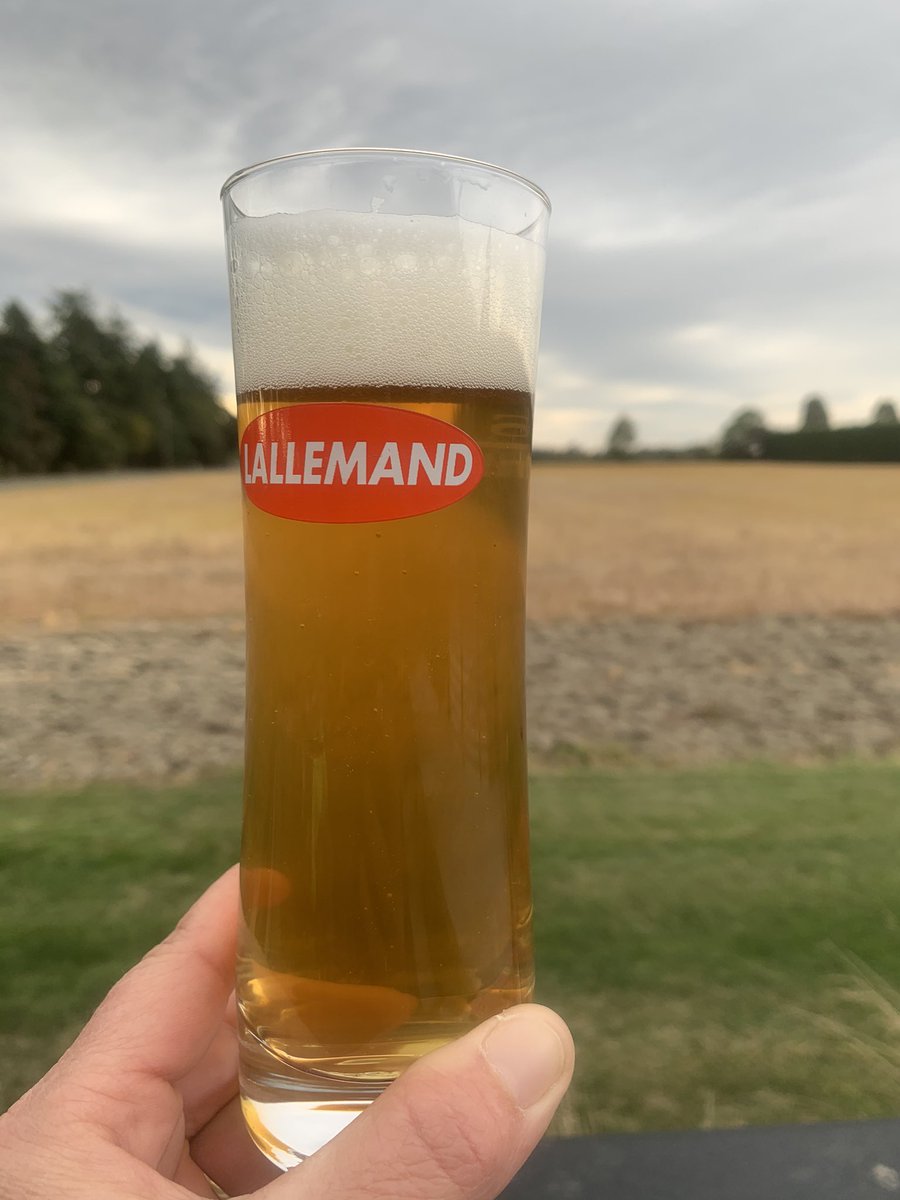 Well well well, this year’s fresh hop is a keeper #aromazyme brought this beer to the next level. My notes: dryer finish, loads of aroma, malty without overpowering the green hop flavour #lovedit #bestoneever #lovegladfield #whitefoam