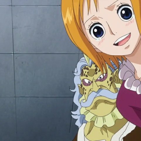 Daily Koala Koalaspics Twitter