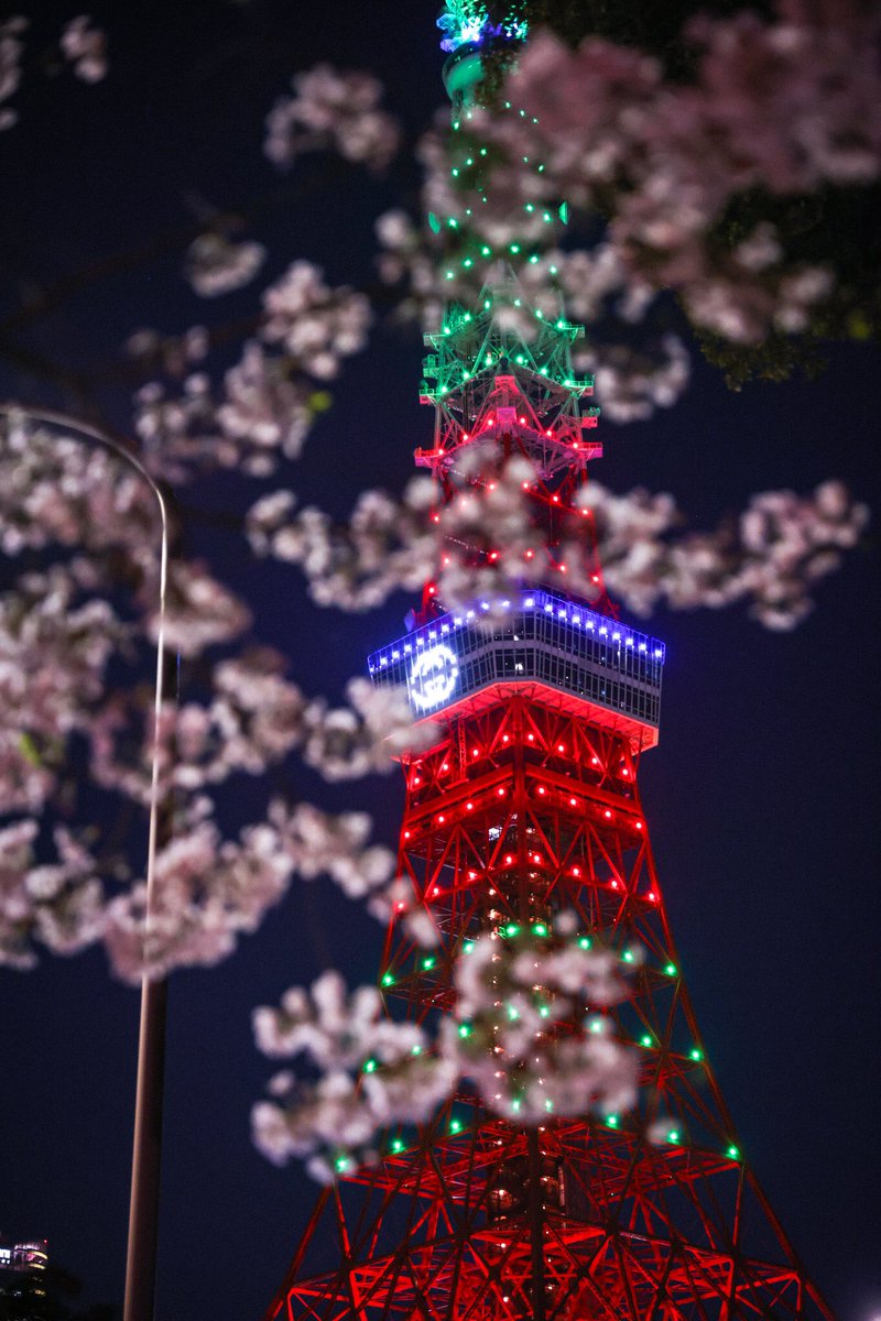 keeperdogss's tweet photo. #GucciHanami https://t.co/EyAcq3PpCi