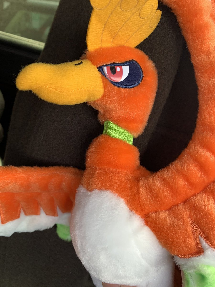 桃 一門 足湯 三十路大夫 در توییتر ちび湯がポケモンセンターに行きたいって言ってたんで行ってきました ピカチュウやかわいい ポケモンがいっぱいいる中 選ばれたのはホウオウでした 選出理由 飛べるから