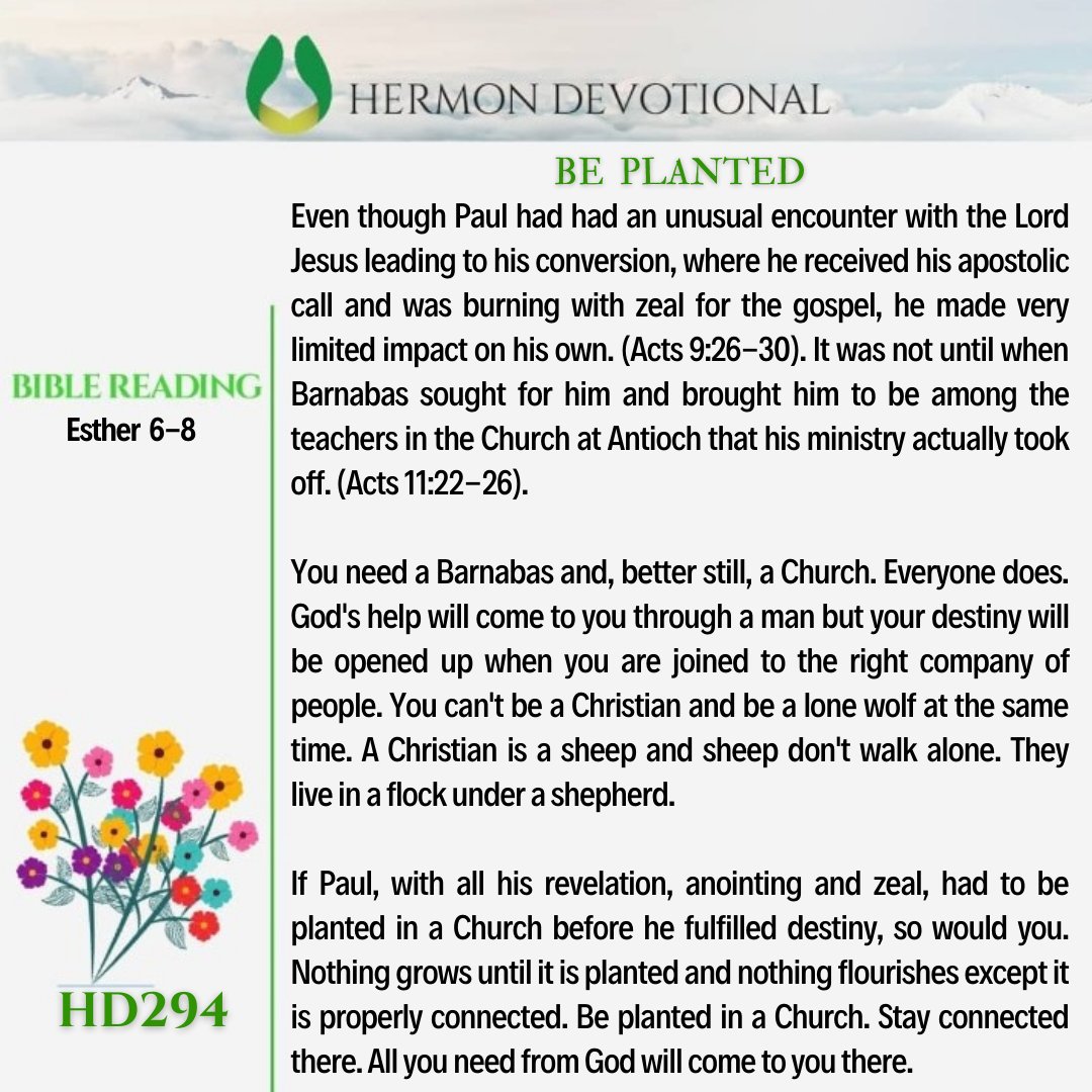 PNikemefuna's tweet photo. BE PLANTED
#hermondevotional
#beplanted
@HermonCentre https://t.co/PRITpExrn3