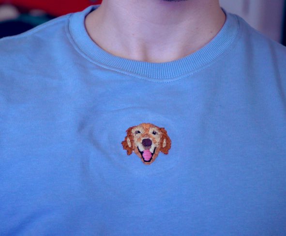 LudwigAhgren's tweet image. wasn’t going to post about this but recently my childhood dog Sophie passed away

and QT made me this sweatshirt to remember her

FeelsStrongMan