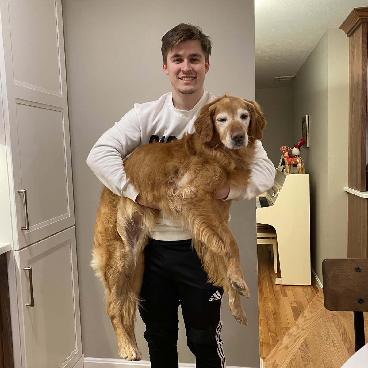 LudwigAhgren's tweet image. wasn’t going to post about this but recently my childhood dog Sophie passed away

and QT made me this sweatshirt to remember her

FeelsStrongMan