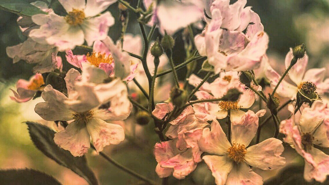 73__photo's tweet photo. https://t.co/gJvuCxzjD1