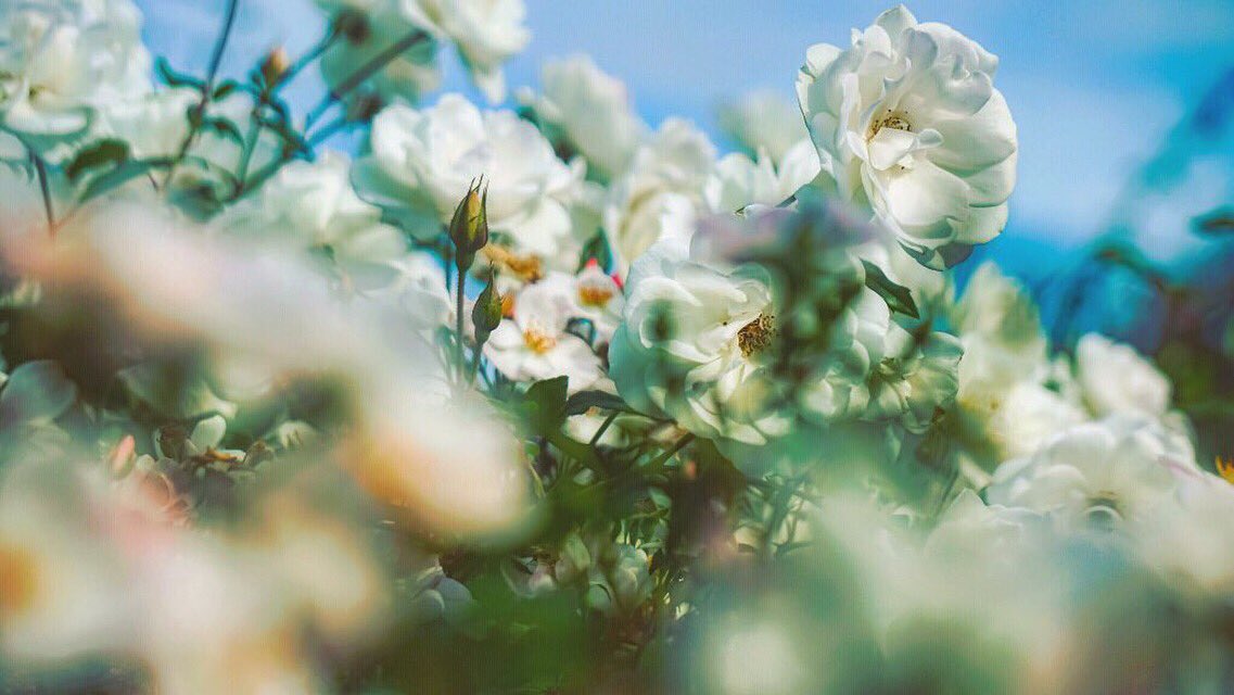 73__photo's tweet photo. https://t.co/gJvuCxzjD1