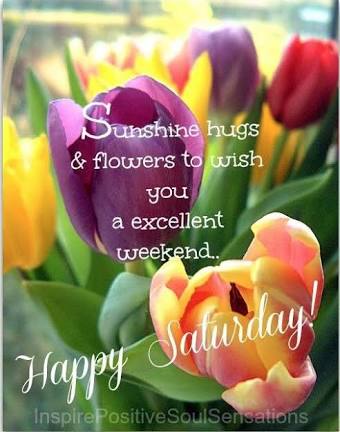 almaphillips's tweet image. #HappySaturday #goodmorning #excellentweekend
