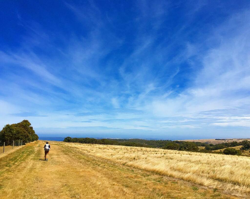 fourfeetpeak's tweet photo. #wanderlust #goodmorning #theglobewanderer
#trailhikes #trailadventure #hikersofinstagram
#earthfocus #earthpix #paradise #outdoorphotography 
#hiking #nature #backtonature #outbackadventures #outbackaustralia #hikingadventures #outdoorlife #leavenotrace… https://t.co/xVqpOXXFHF https://t.co/WfTcjnAGWo
