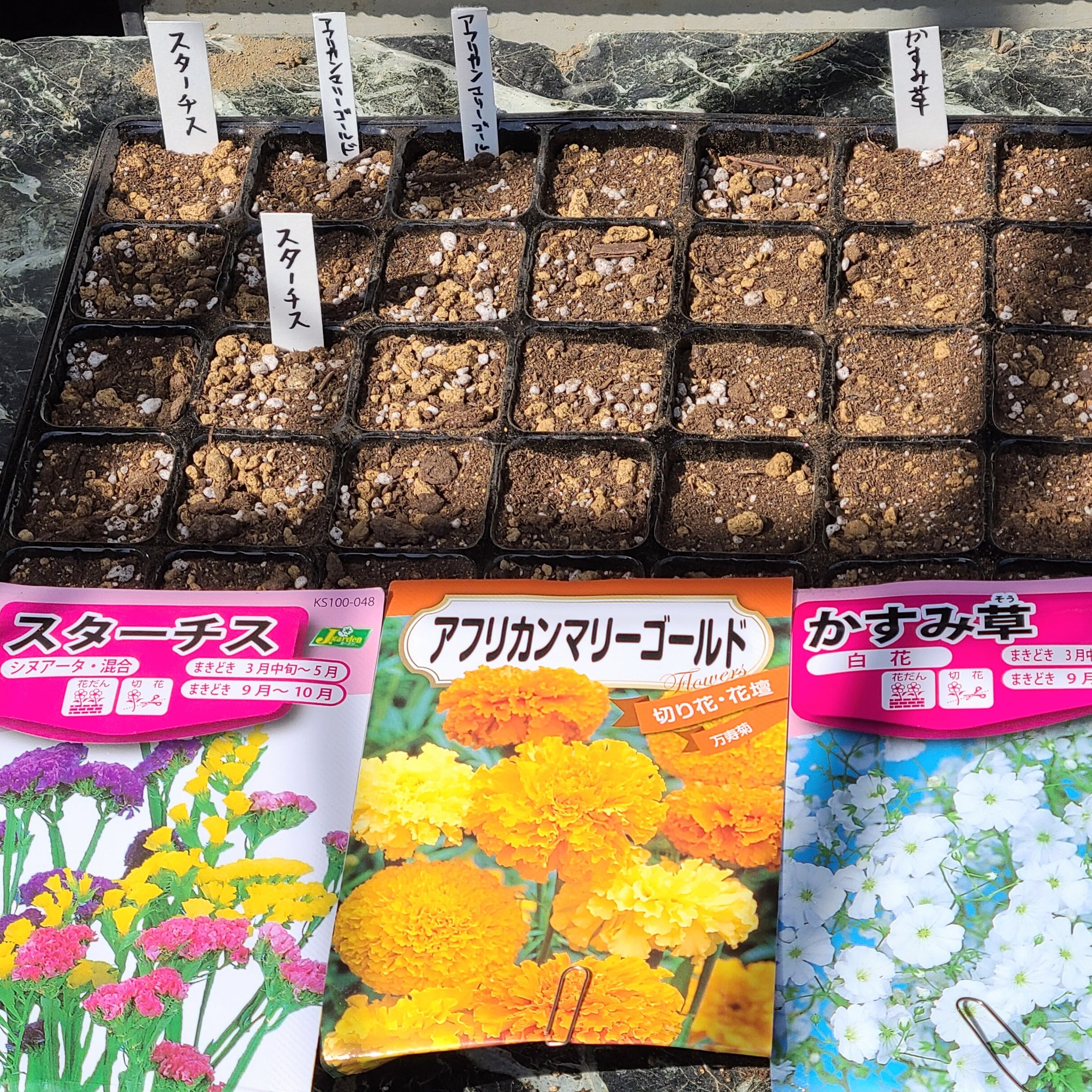 信州発 家庭菜園 Q S Natural Garden このご時世 も ちょっと離れた方が 鈴蘭 庭 開花 スズラン すずらん T Co Fe0kpomz5i Twitter
