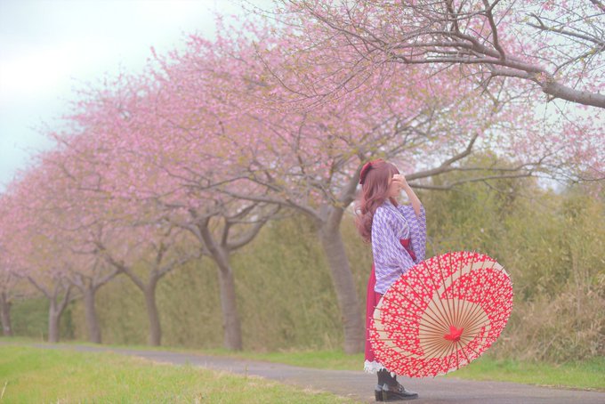 コスプレイヤー花海ちひろ(めるち)のTwitter画像54