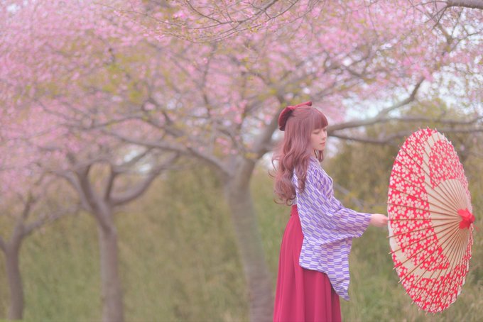 コスプレイヤー花海ちひろ(めるち)のTwitter画像55