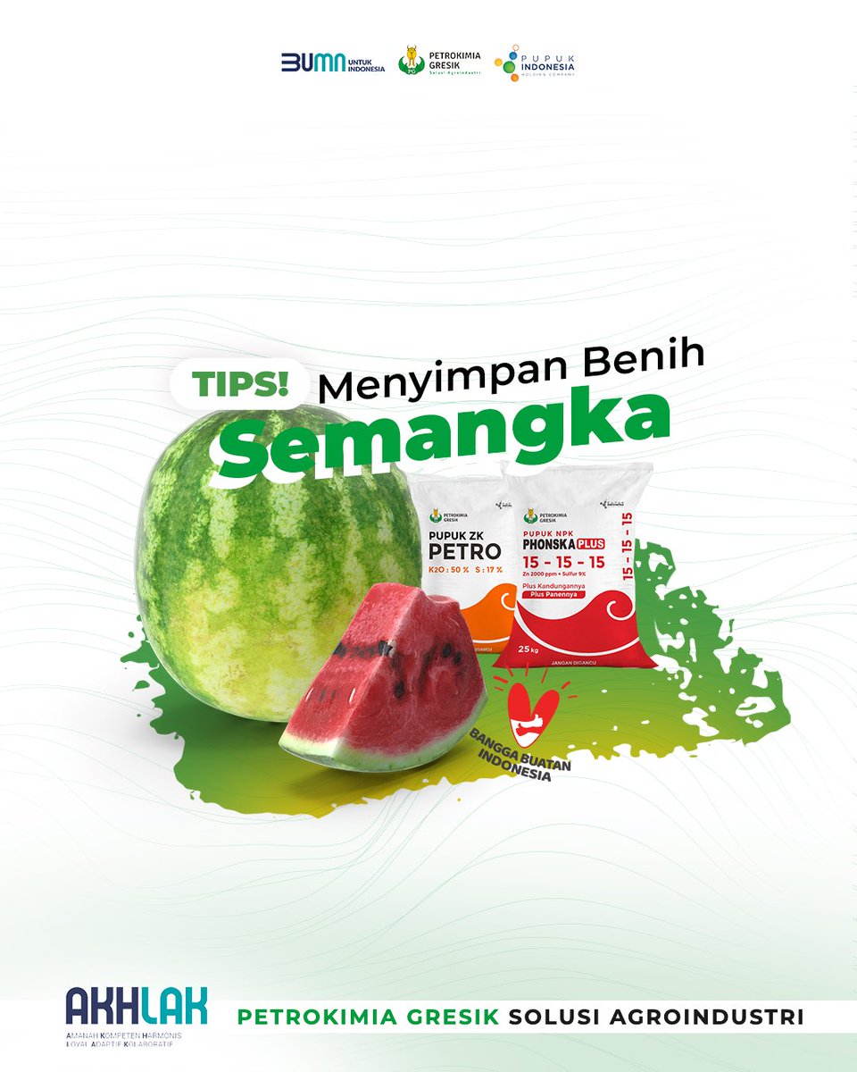 petrogresik's tweet image. Sahabat Petro lebih suka makan semangka yang ada bijinya atau tanpa biji, nih? Yang masih sering makan semangka dengan biji, bijinya jangan dibuang, yah! Sayang banget, bisa ditanam lagi 🍉

#AgribisnisIndonesia  #Agrosolutions #Agroindustri #AgroSolution
