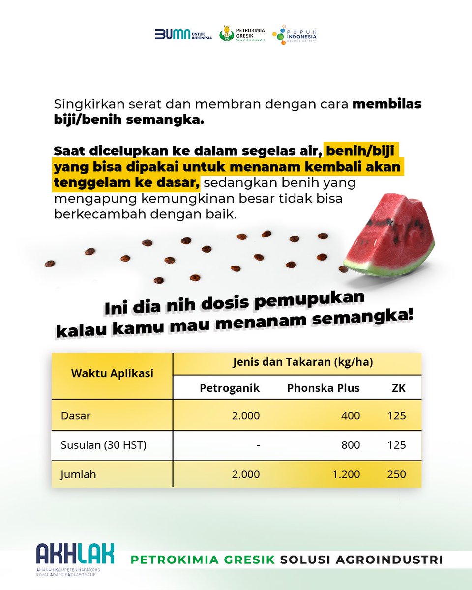 petrogresik's tweet image. Sahabat Petro lebih suka makan semangka yang ada bijinya atau tanpa biji, nih? Yang masih sering makan semangka dengan biji, bijinya jangan dibuang, yah! Sayang banget, bisa ditanam lagi 🍉

#AgribisnisIndonesia  #Agrosolutions #Agroindustri #AgroSolution