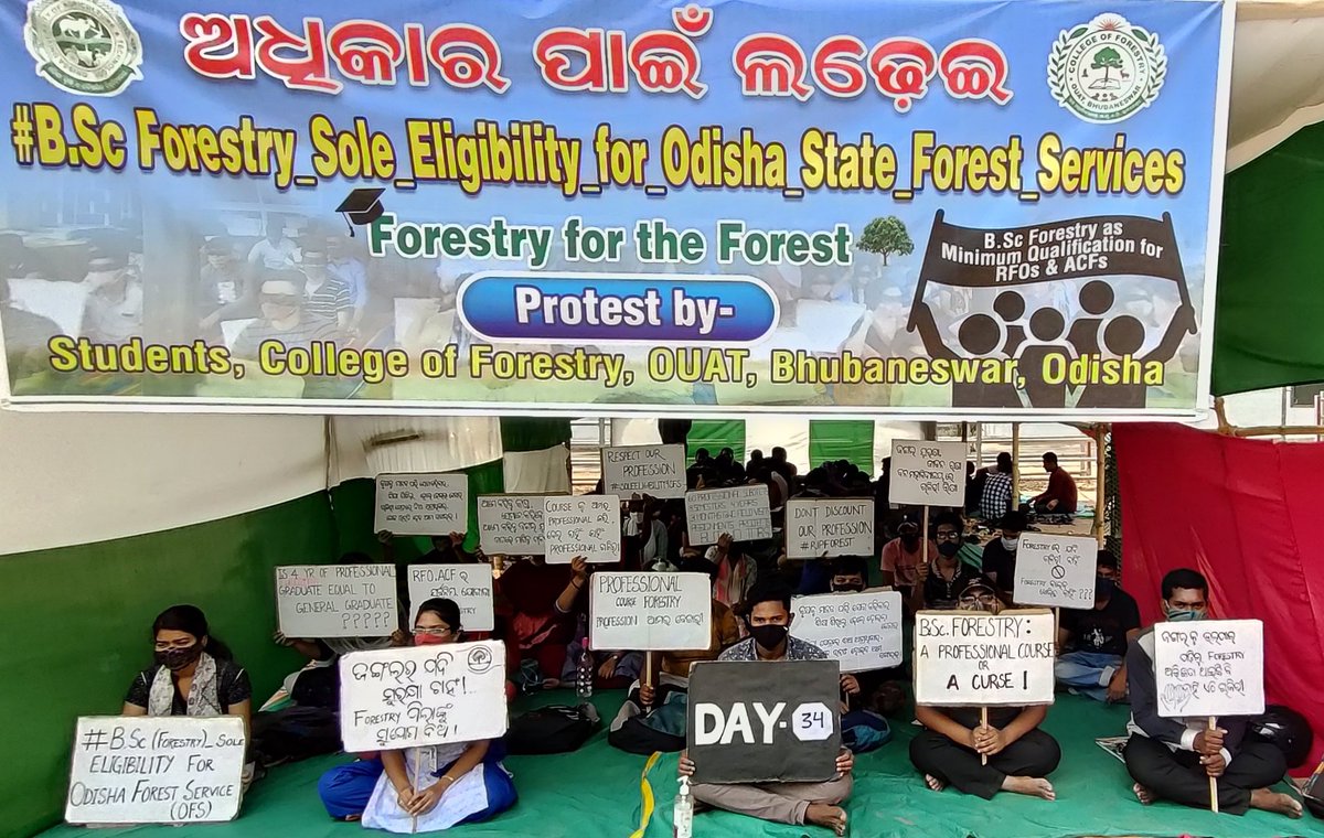 CollegeOuat's tweet photo. DAY-34
#BSc_Forestry_Sole_Eligibility_for_Odisha_State_Forest_Services
@Naveen_Odisha @CMO_Odisha @BKArukha @dr_arunsahoo @MoSarkar5T @PrakashJavdekar @ForestDeptt @pccfodisha @ifs_odisha @AprajitaSarangi @otvnews @Kalingatv @News18Odia @NandighoshaTV @kanak_news https://t.co/MP3J4QqLEw