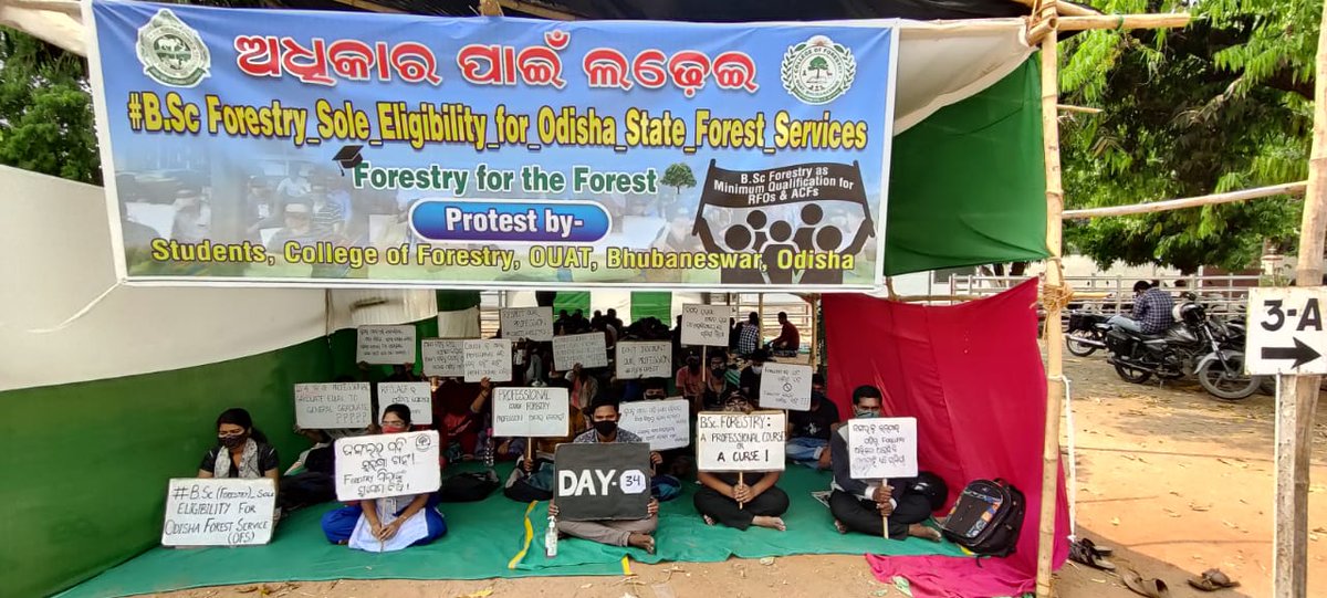 MonalishaLenka's tweet photo. #BSc_Forestry_Sole_Eligibility_for_Odisha_State_Forest_Services
@Naveen_Odisha @CMO_Odisha @BKArukha @dr_arunsahoo @MoSarkar5T @PrakashJavdekar @ForestDeptt @pccfodisha @ifs_odisha @otvnews @Kalingatv @News18Odia @NandighoshaTV @kanak_news @AprajitaSarangi https://t.co/fFd5QprONi