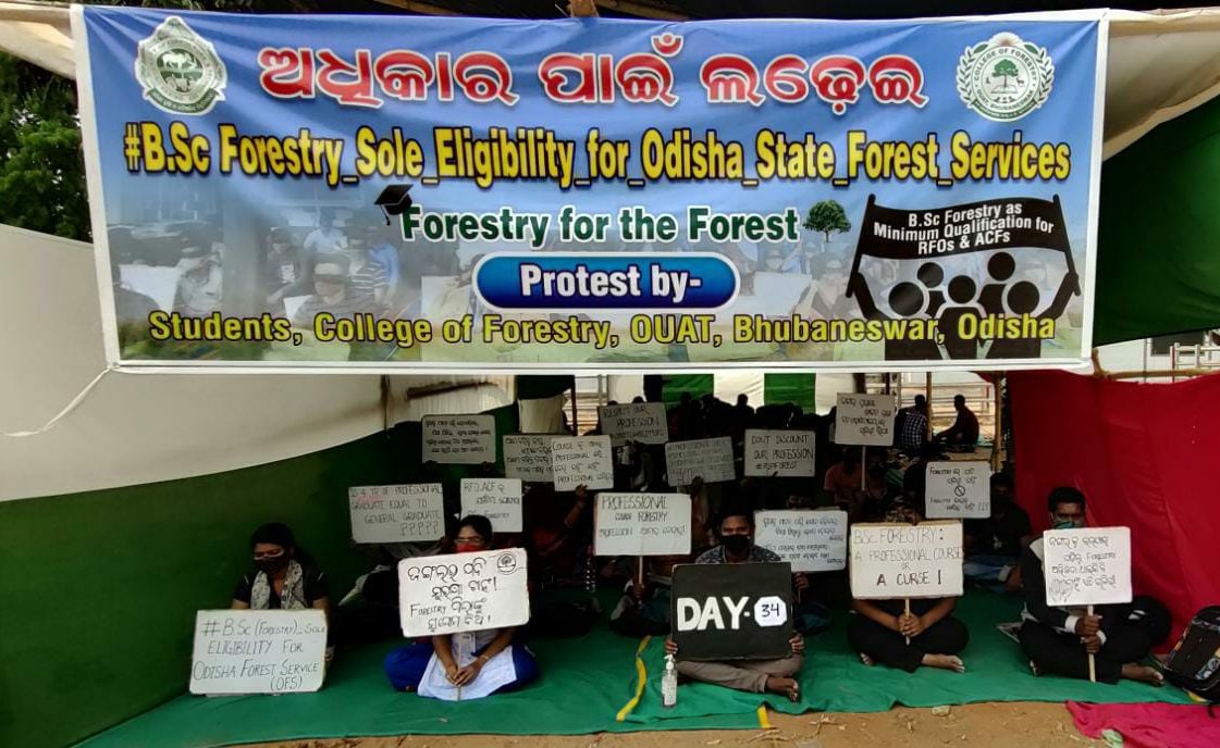 IshikarajD's tweet photo. Day-34
#BSc_Forestry_Sole_Eligibility_for_Odisha_State_Forest_Services
@Naveen_Odisha @CMO_Odisha @BKArukha @dr_arunsahoo @SecyChief @MoSarkar5T @PrakashJavdekar @sandeepifs @ForestDeptt @pccfodisha @ifs_odisha @AprajitaSarangi https://t.co/5RIdt9d98i