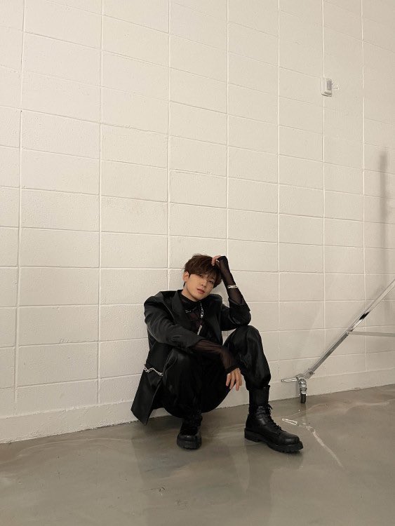 tracy 🐱 tweet media