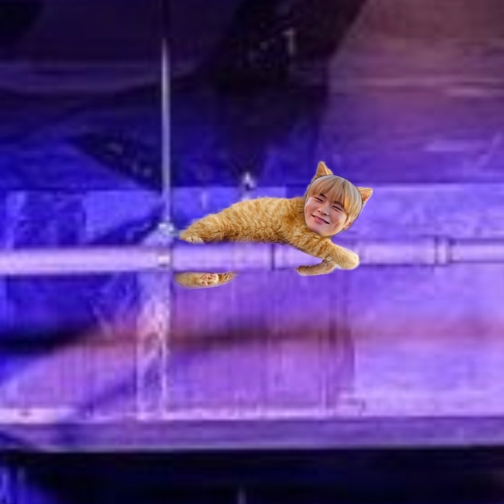 เห้ย ข้างบนนั้น ขึ้นไปได้ยังไง!?