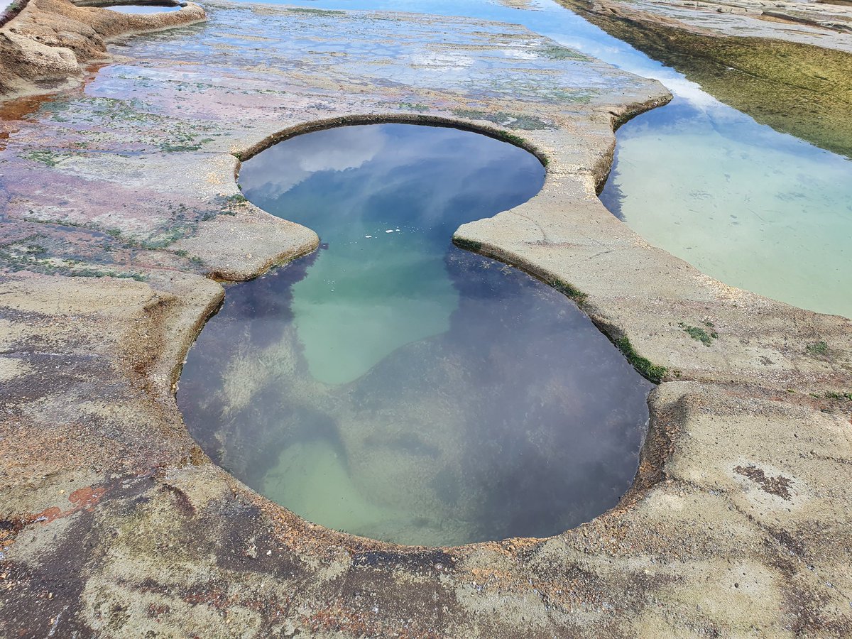 DocHarleyMD's tweet photo. Hiking to iconic #Figure8pools & made use of excellent risk forecast system by @DrHannahPower + @MikeKinsela to safely navigate the rock platform. Might need to add #shark hazard to the forecasts! #HikeAustraliaHelpKids https://t.co/W3OkQiR3DK