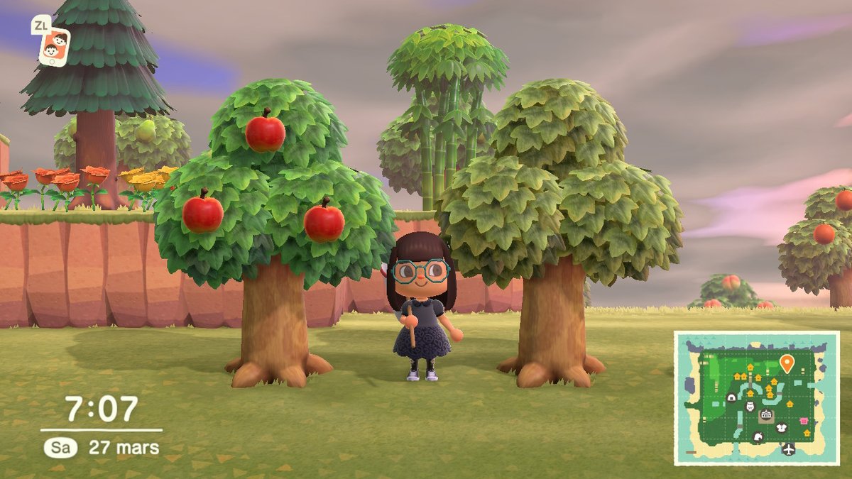Mathou_ACNH's tweet photo. Hey! est-ce que qqn sait pourquoi il y a un arbre plus vert que l'autre? #AnimalCrossing #ACNH https://t.co/Mbza1AQte4