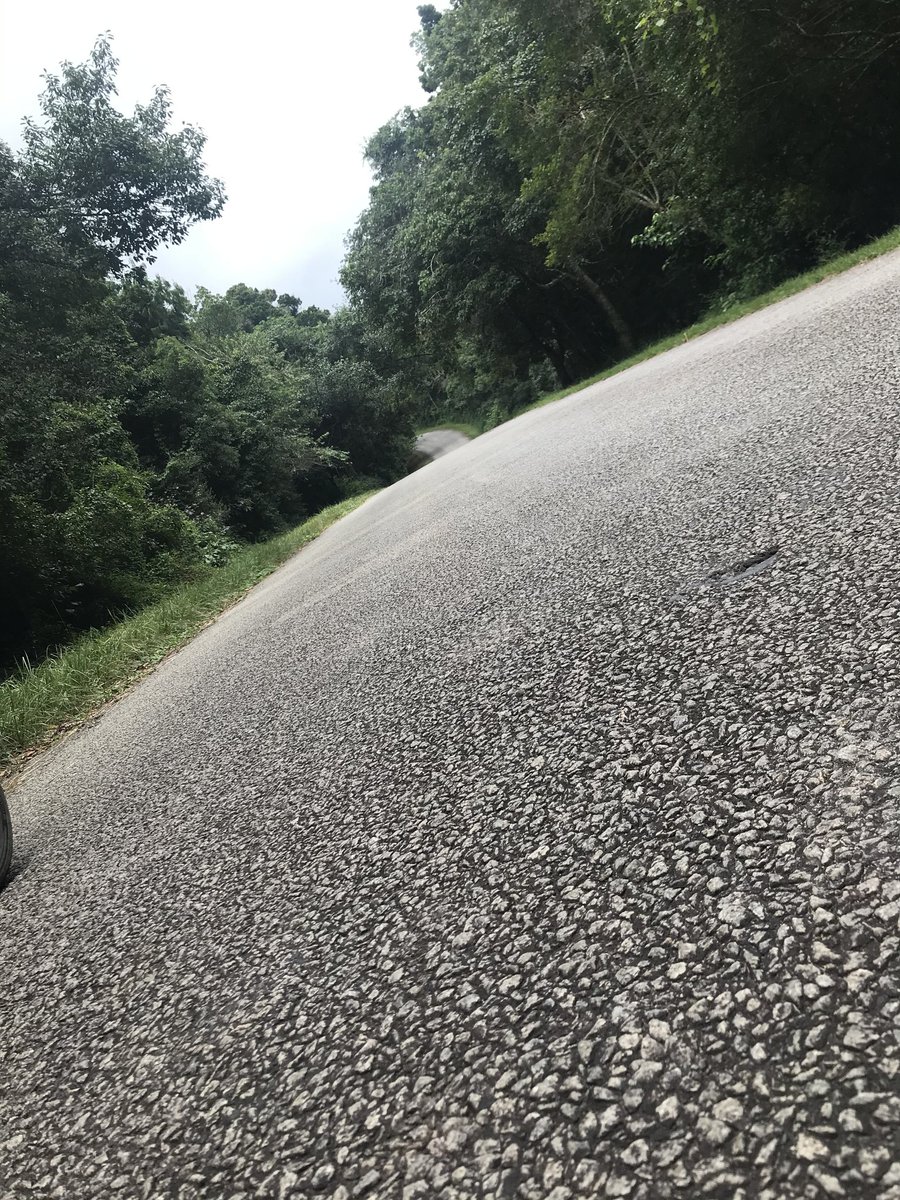 zimadventures's tweet photo. 📍You can literally spend hours in Vumba, just taking photos,  unfortunately the admin is a bad photographer😅🇿🇼 https://t.co/tX4wpEFsqZ