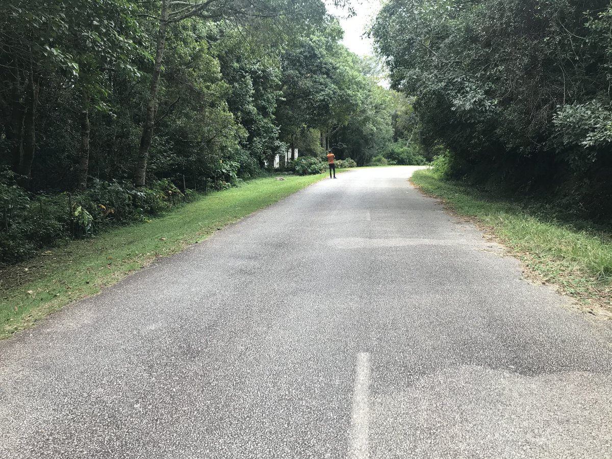 zimadventures's tweet photo. 📍You can literally spend hours in Vumba, just taking photos,  unfortunately the admin is a bad photographer😅🇿🇼 https://t.co/tX4wpEFsqZ