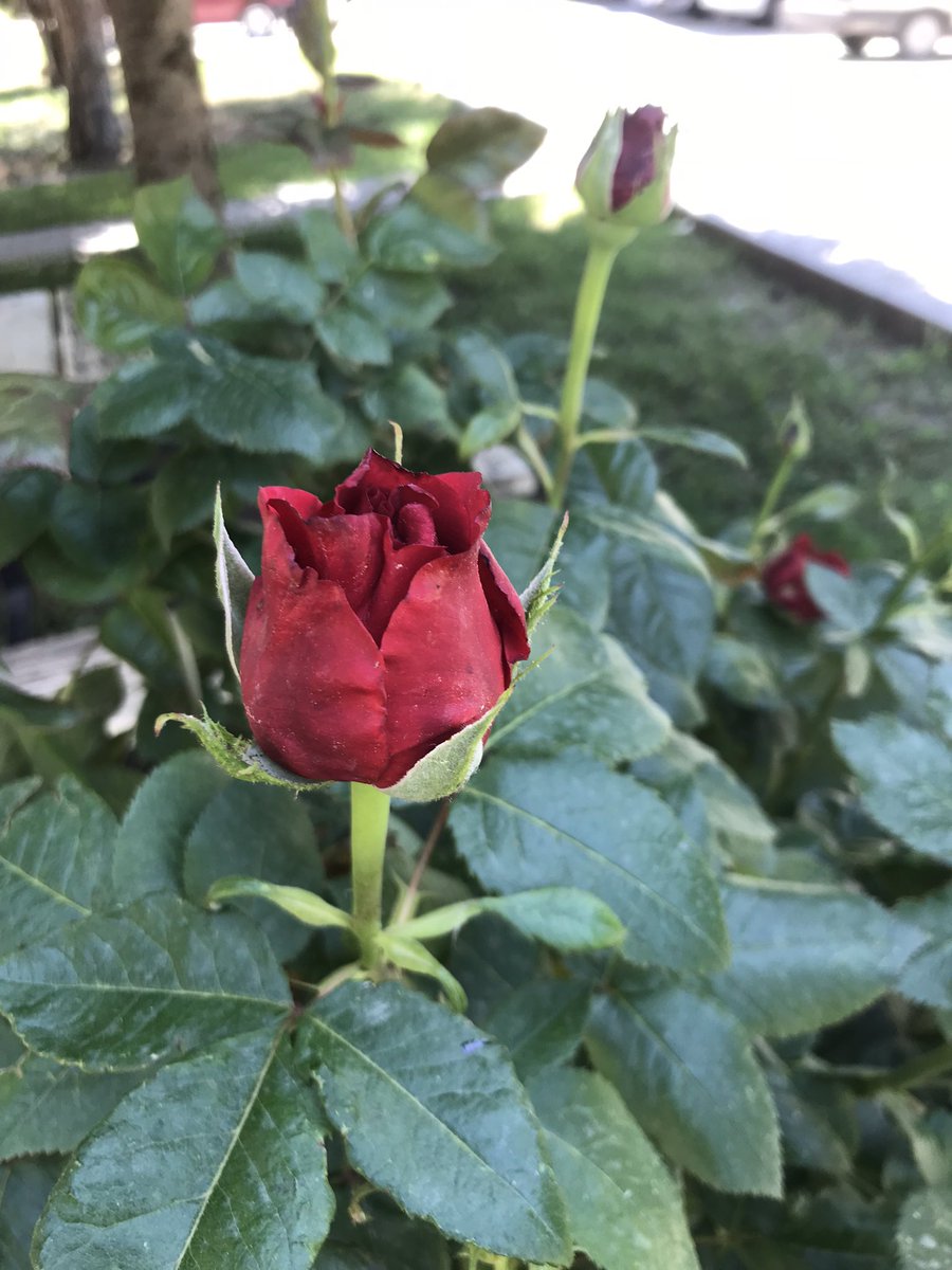 Mübarek gecemiz sevapla dolsun 
Berat kandili mübarek olsun🙏🏻

#BeratKandili 

___Günaydın🌹