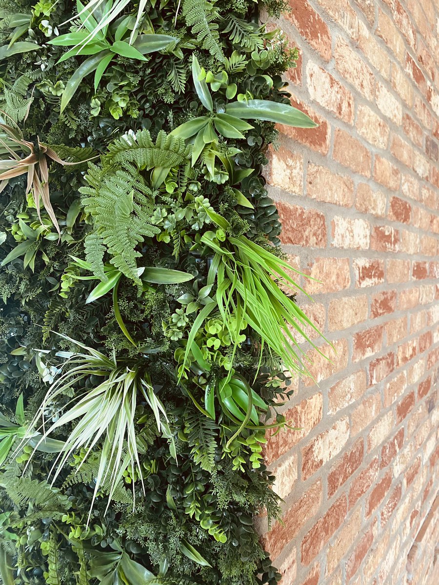 macdesignserv's tweet photo. Working in partnership with Enaflo Interiors, another project is coming together nicely. The clients feature walls are starting to be installed on this exciting new office space in Kent. #interiordesign #officedesign #commercialoffices #staffwelfare #brickslips #livingwall https://t.co/4YF2LV0n7C