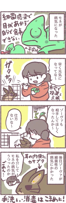 多頭飼いの失敗談「病気」
当時は浅はかでしたが今は反省を活かした上で飼育にあたっております。無事病気治りました(*'▽`*) 
