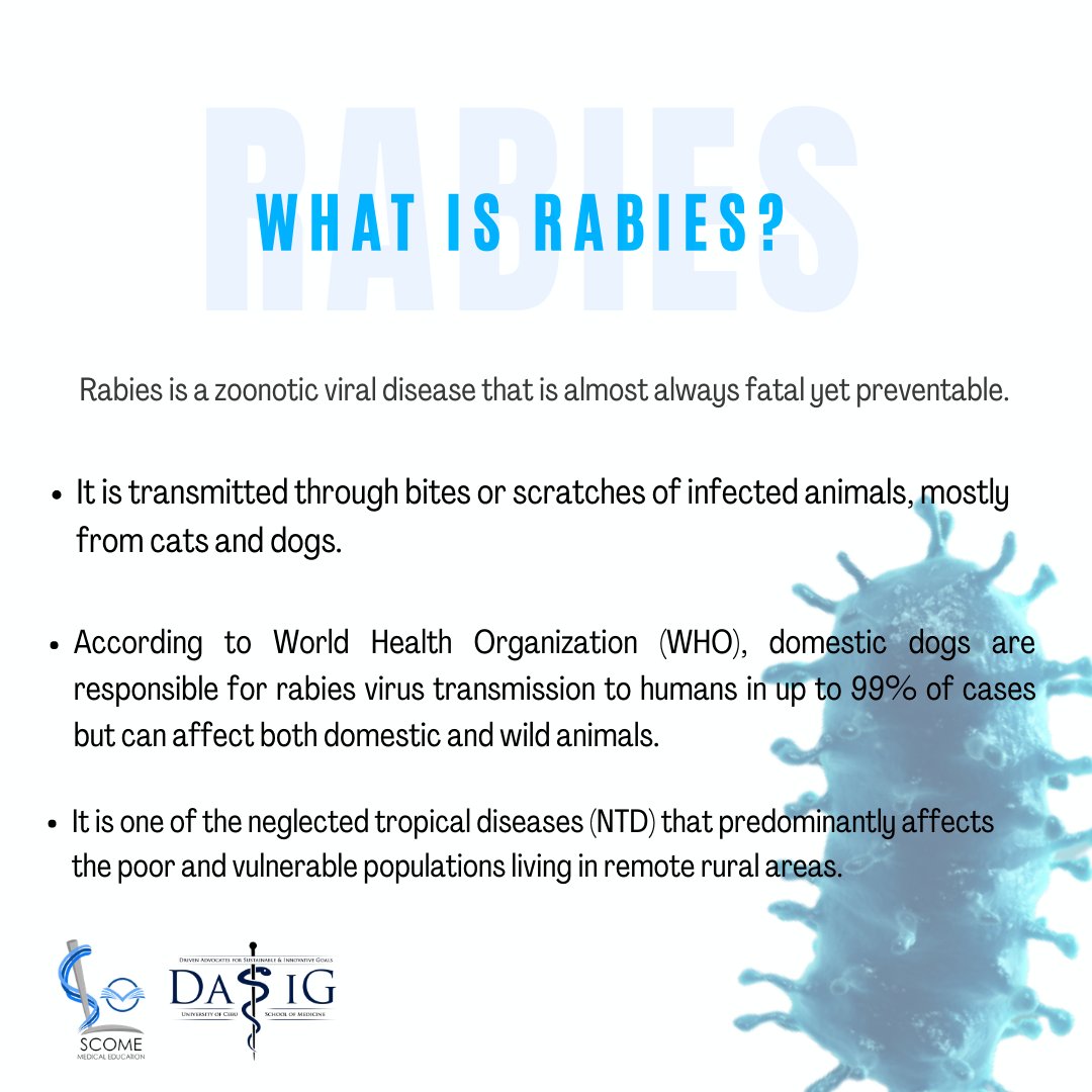 dasigucsm's tweet photo. Every second counts. Prevent rabies, vaccinate your pets now!

#LearnWithDASIG
#BeAResponsiblePetOwner
#VaccinationSavesLives
#RabiesAwarenessMonth2021 https://t.co/lQbcZ13cCz