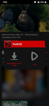 PushVid tweet picture