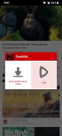 PushVid tweet picture